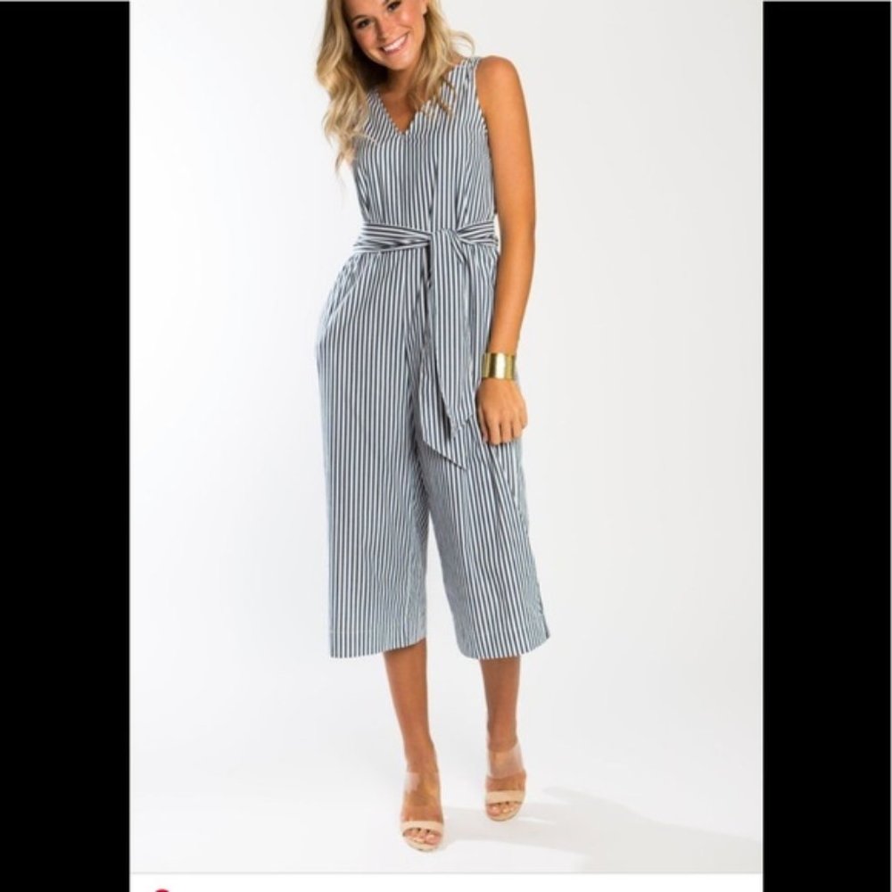 CROSBY by Mollie Burch Pinstripe Jumpsuit